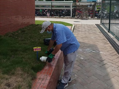 从化预防红火蚁——工业园区红火蚁防治方案