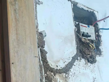 南沙灭除白蚁机构该如何灭治房屋建筑中的白蚁