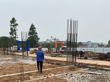 黄埔白蚁灭治机构地基防白蚁该怎么做才靠谱